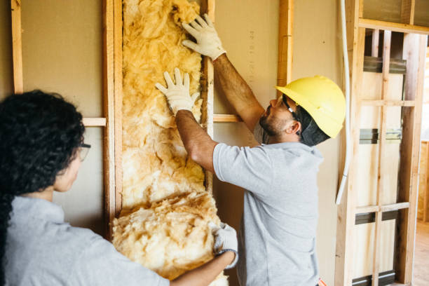 Best Spray Foam Insulation  in Prairie Du Chien, WI